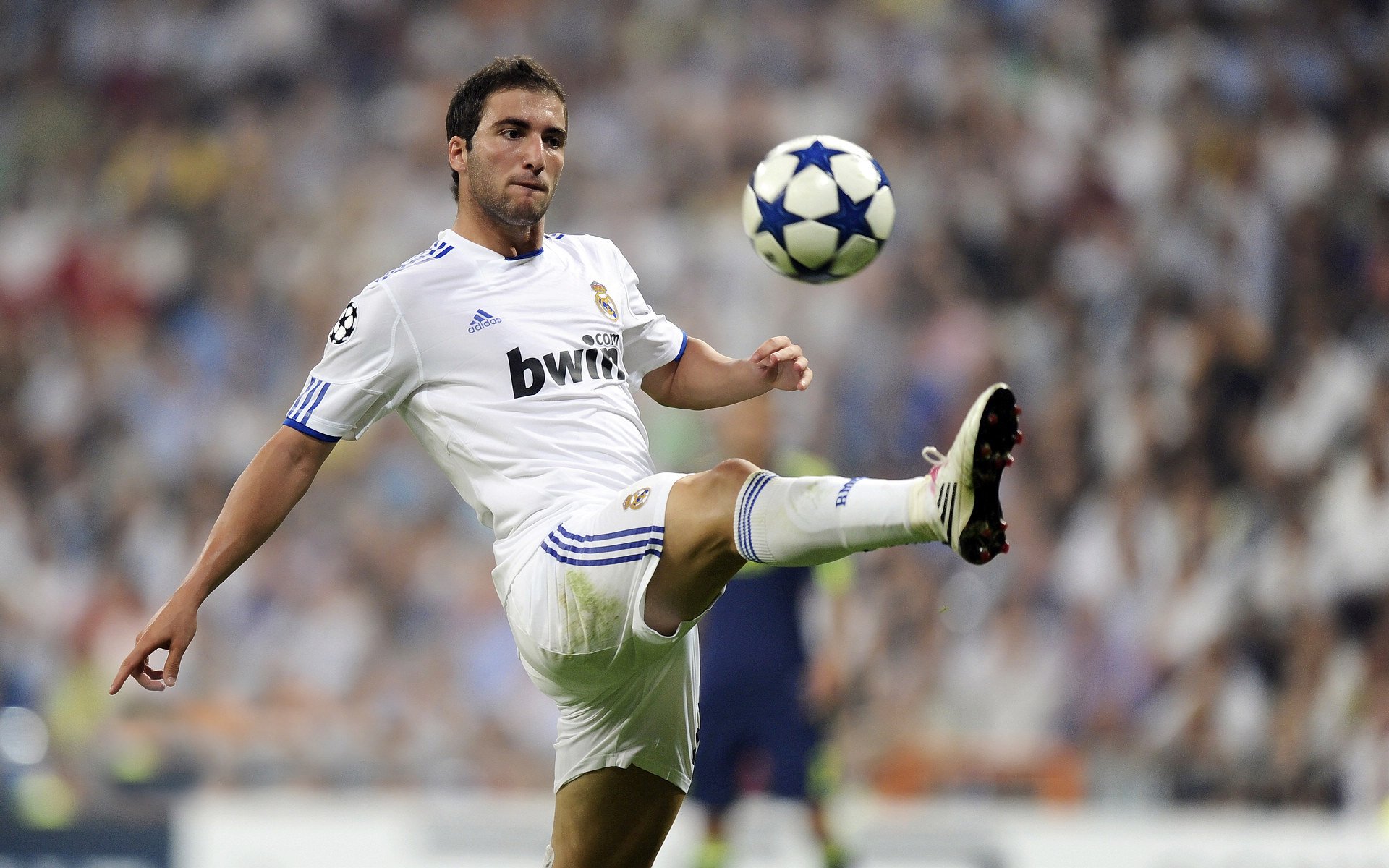 西班牙青年队在欧洲青年锦标赛中展现出色水平